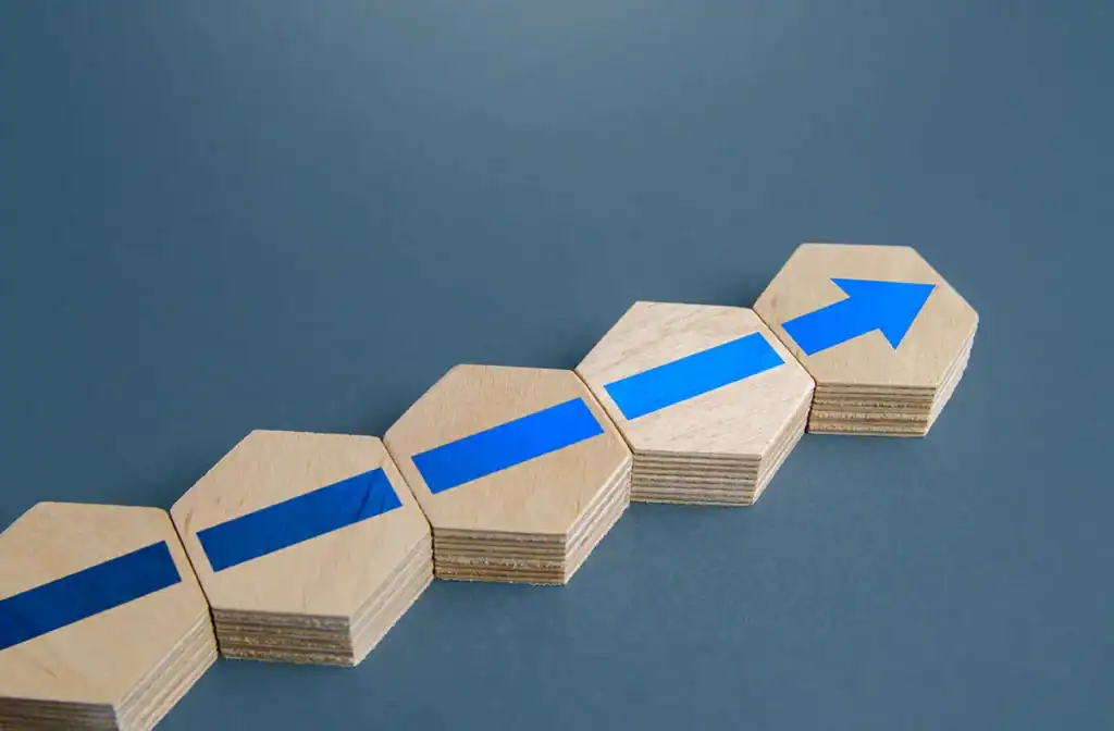 Year 2 Expansion and Optimization