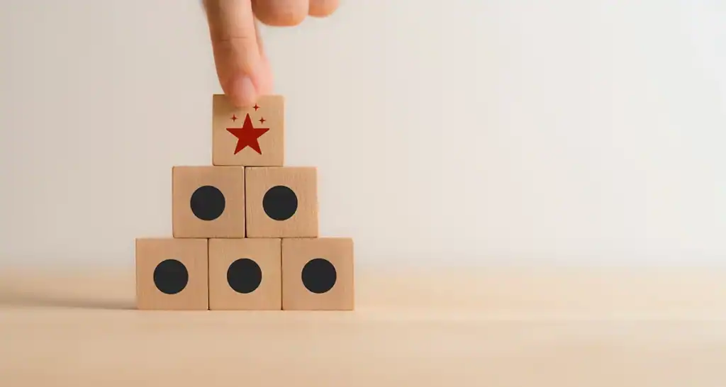 Year 4 Innovation and Differentiation